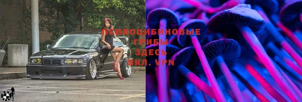 прущие грибы Балахна