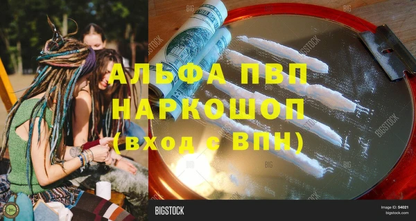 прущие грибы Балахна