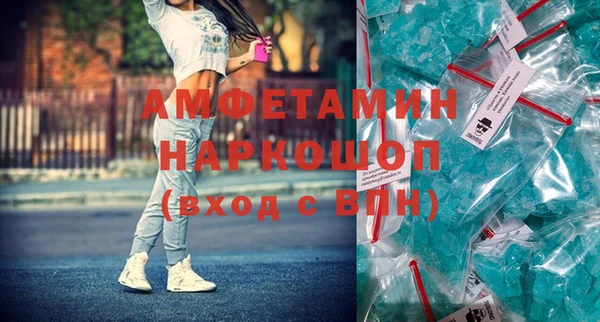 прущие грибы Балахна