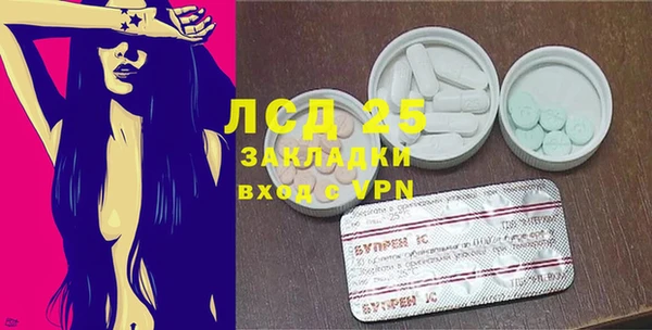 прущие грибы Балахна