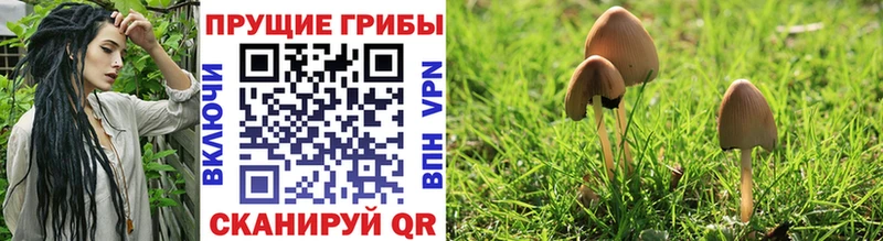 kraken ССЫЛКА  Козельск  Псилоцибиновые грибы MAGIC MUSHROOMS  купить  